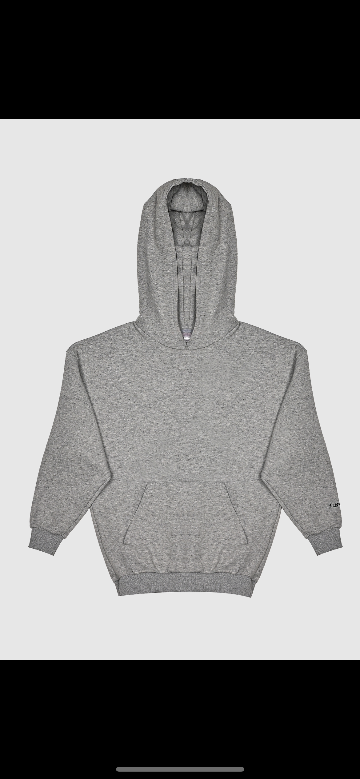 Hoodie grey (back logo)