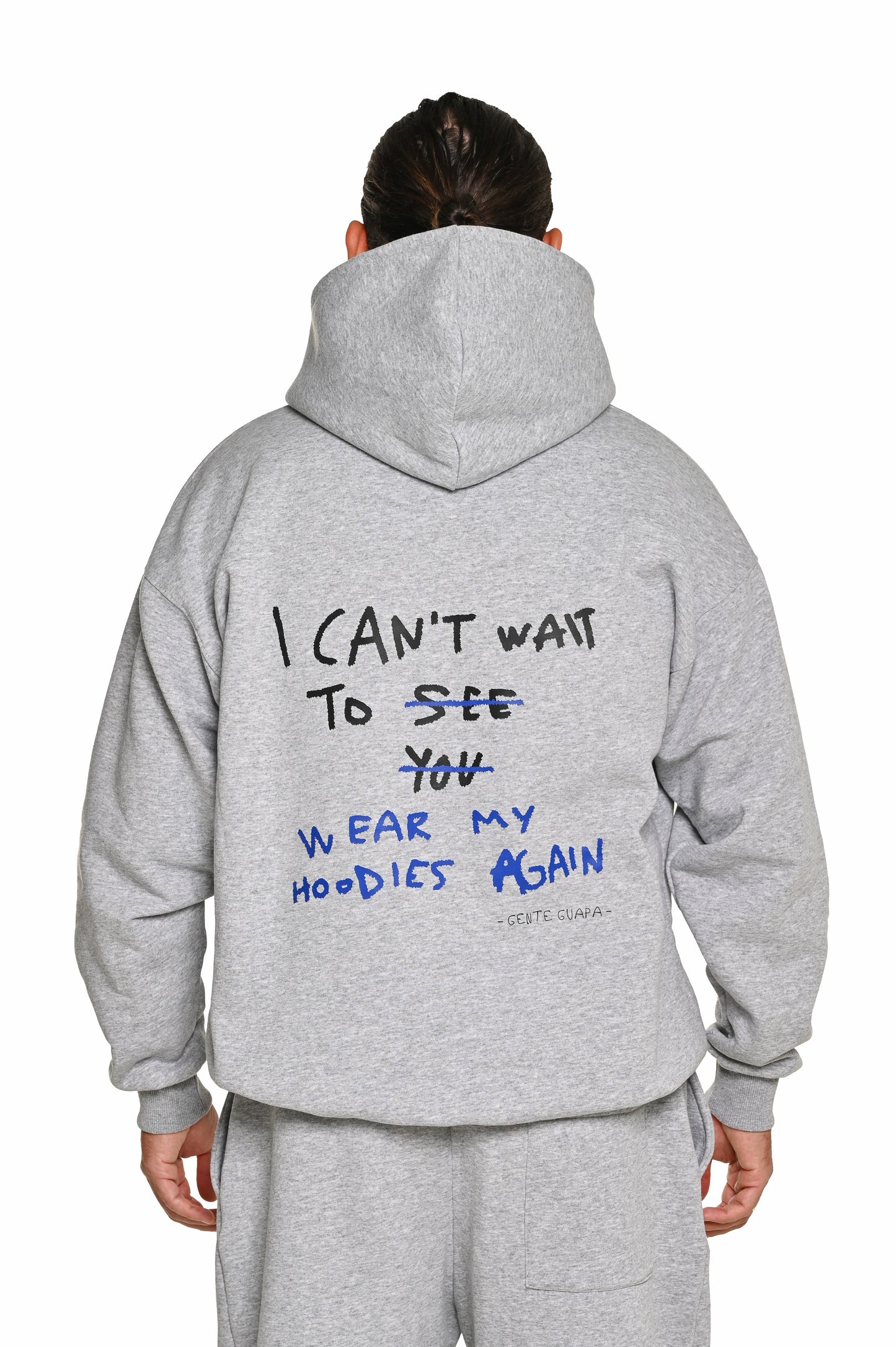 Hoodie grey (back logo)