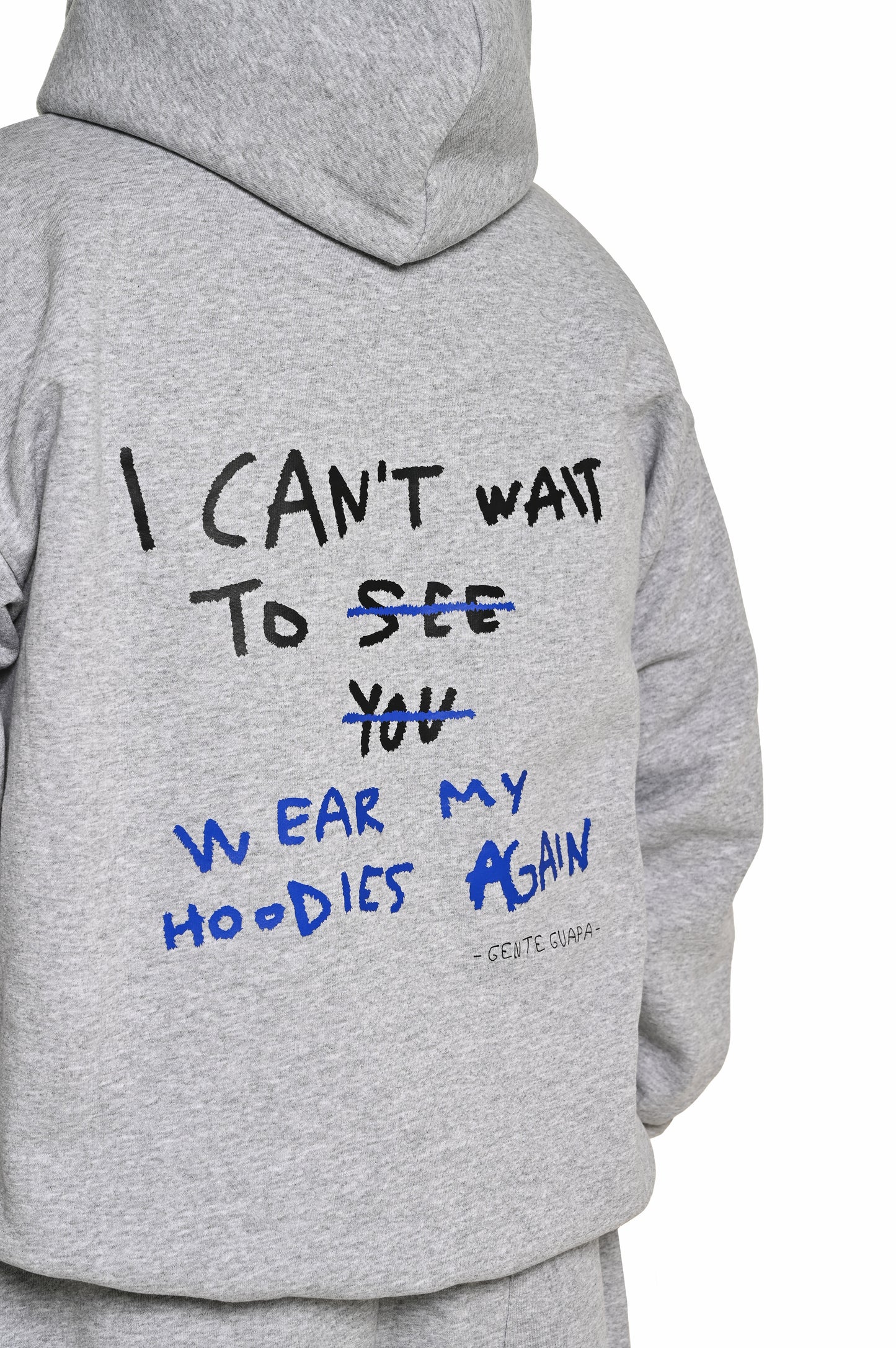 Hoodie grey (back logo)