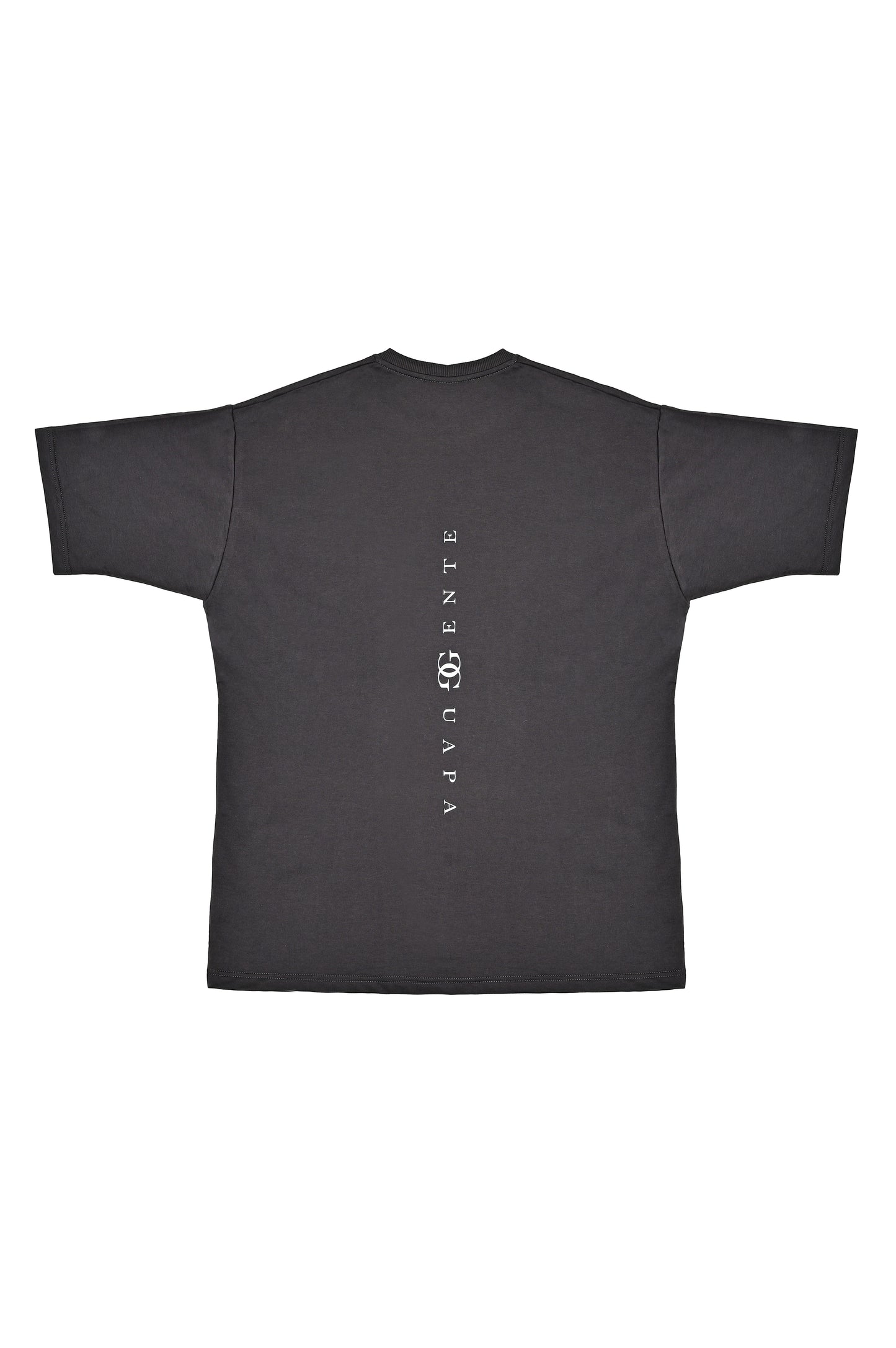 Dark Grey T-Shirt (Back Logo)