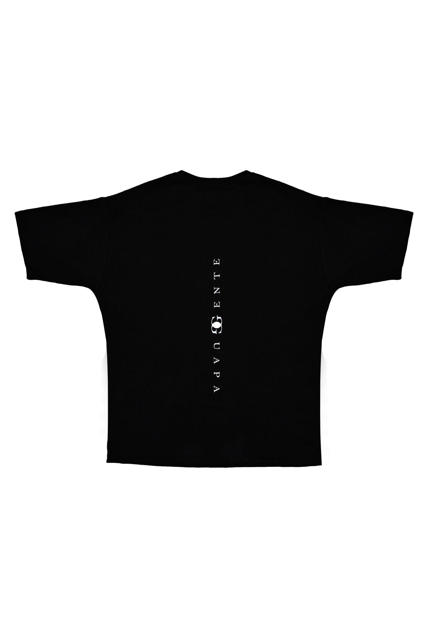 Black T-Shirt (Back Logo)